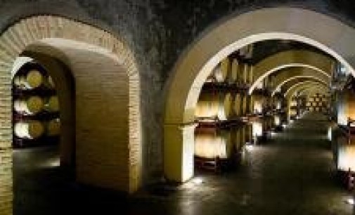 El PSOE pide al Gobierno que dispense a los pequeños productores de vino de sus obligaciones de control