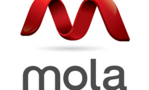 Mola.com: un año acelerando empresas