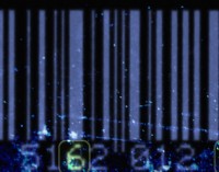 Subirse al tren del Big Data o quedarse en el apeadero