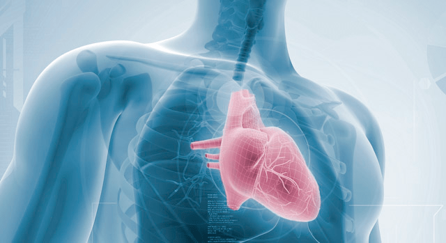 Enfermedades cardiovasculares.