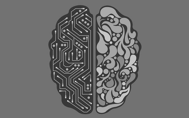 cerebro inteligencia artificial.