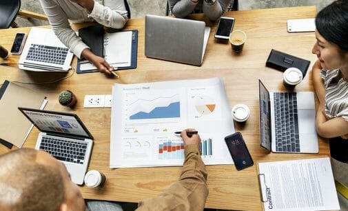 ¿Cuál es el nivel de gestión de su organización?