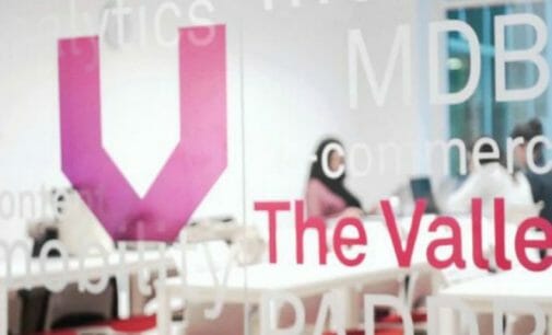 The Valley registra un crecimiento espectacular