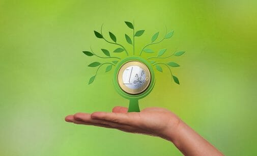 El ICO concede su primer crédito verde: ¿qué es y quién es el beneficiario?