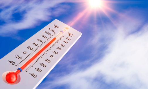 Olas de calor : cómo evitar sus consecuencias