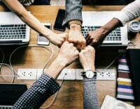 Cuidador de vínculos, creador de equipos de trabajo