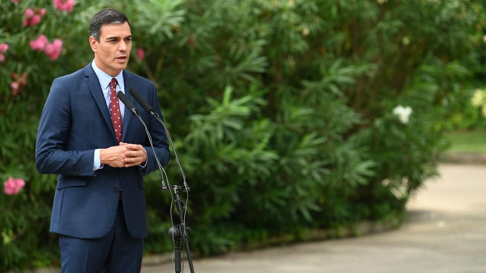 Pros y contras de un gobierno socialista para la I+D+i
