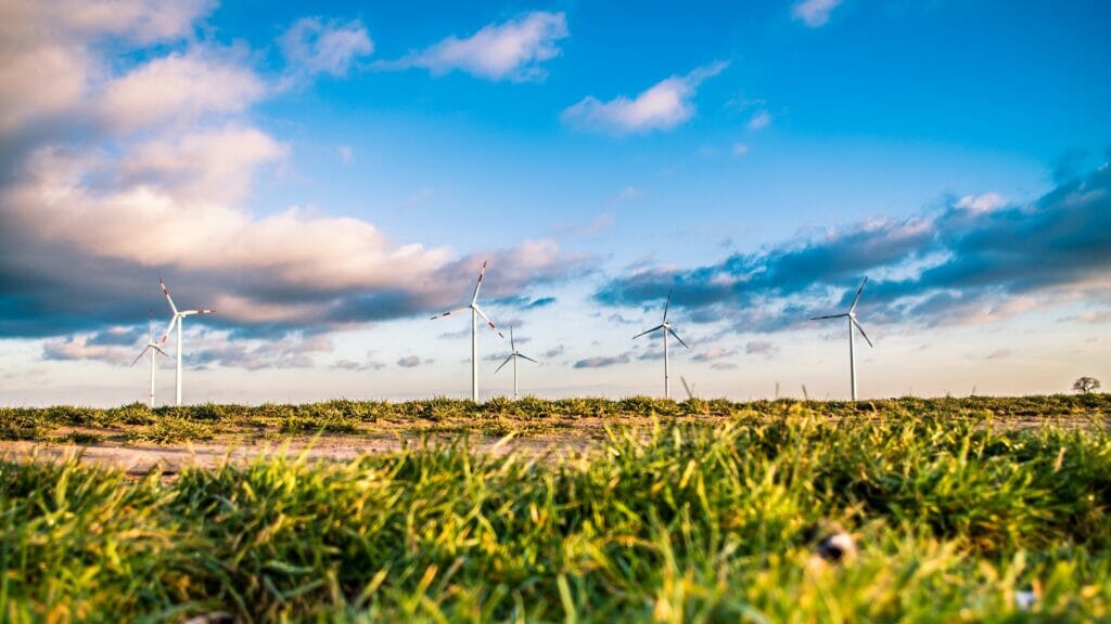 energías renovables eolica.