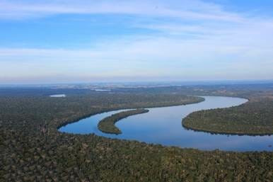 HP quiere proteger la biodiversidad de los bosques.