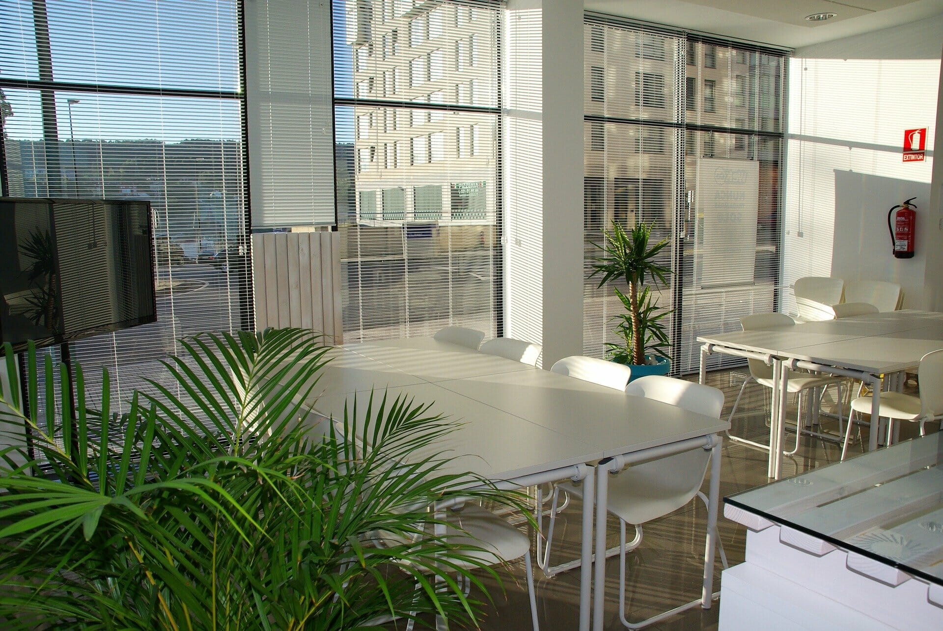 el leasing de las oficinas creció un 20 por ciento en 2019 en España