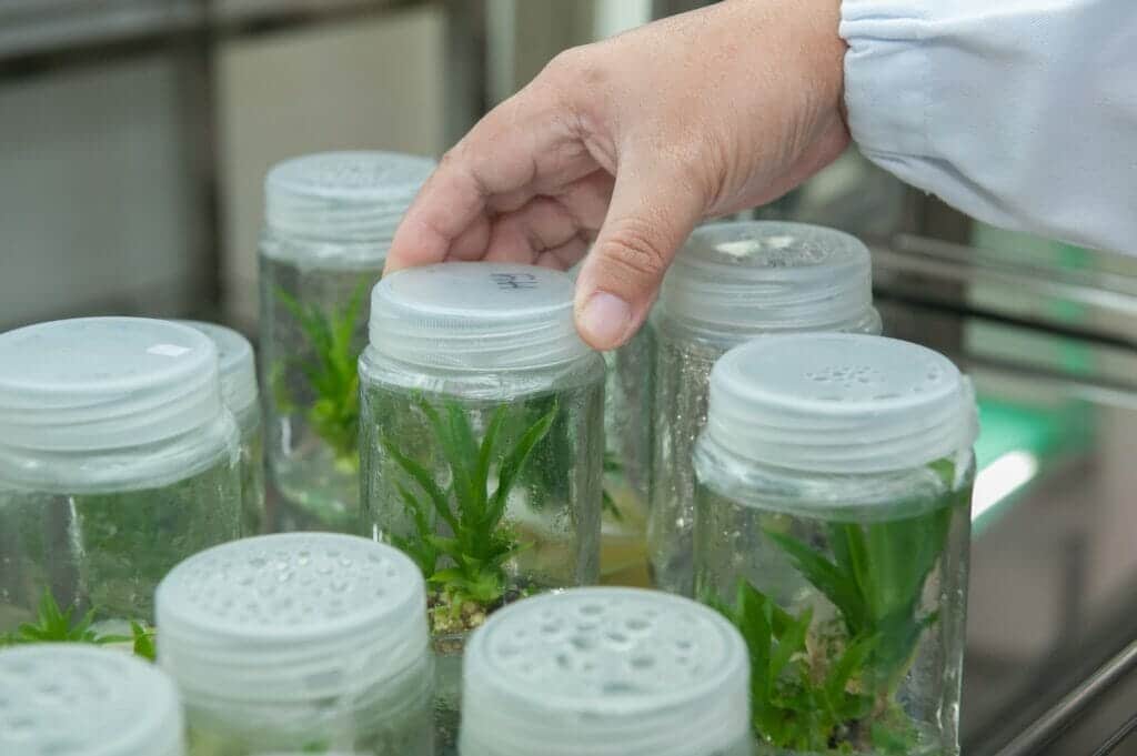 proyectos de biotecnología