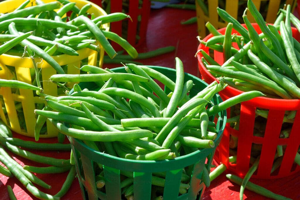 suministro de alimentos.