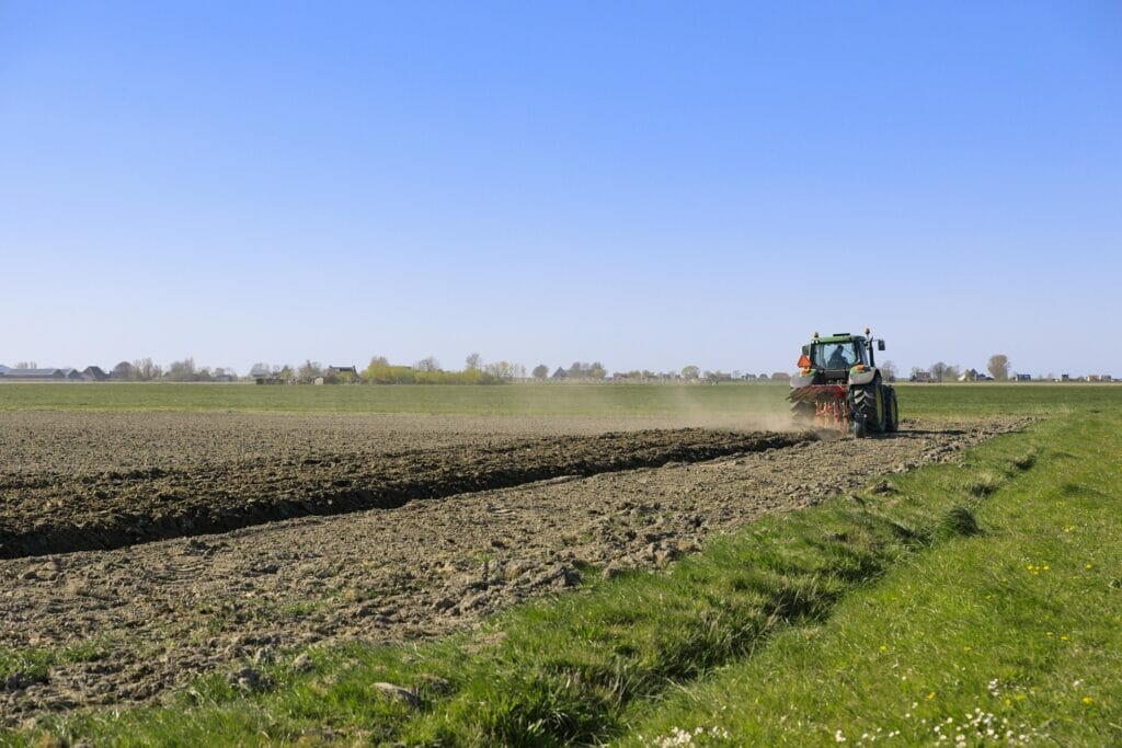 Tras las crisis del Covid, hay que fomentar el consumo de productos locales agroalimentarios.