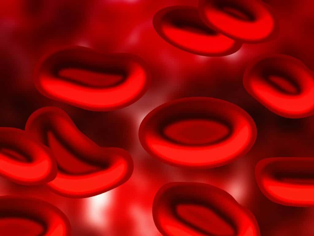 el plasma de la sangre puede ser un tratamiento eficaz contra el covid 19