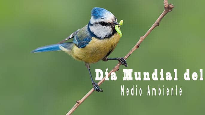 Cuidar la biodiversidad es sinónimo de planeta sano y protección de la salud