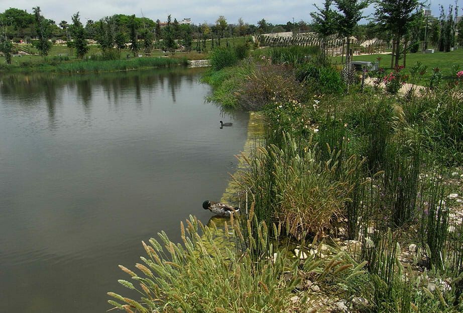 Parque La Marjal, Alicante.