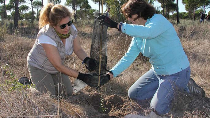 proyecto-bosque-endesa