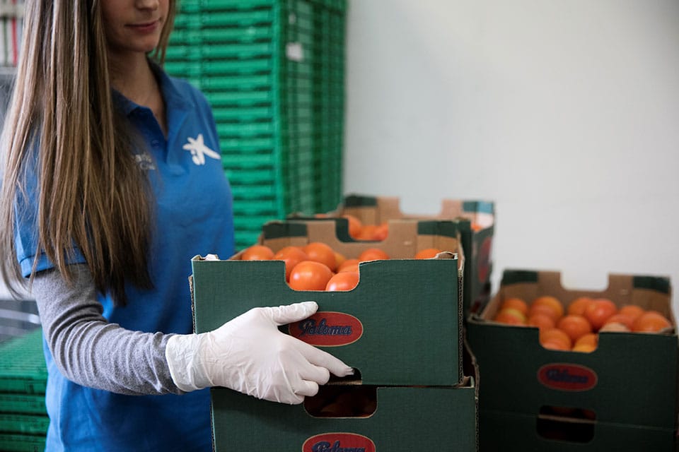 Voluntarios-la-Caixa