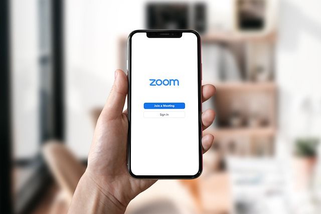 Zoom Workstyles