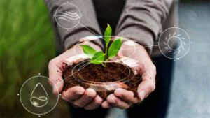 sostenibilidad y criterios ESG