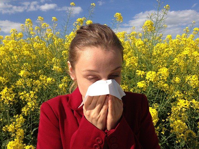 alérgicos al polen