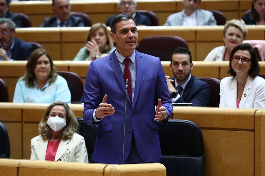 Pedro-Sánchez-en-el-Senado