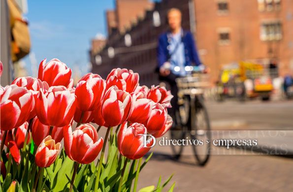 el tulipán es una flor que es símbolo en Holanda