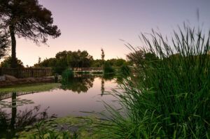 agua regenerada en el Parque El Recorral de Alicante