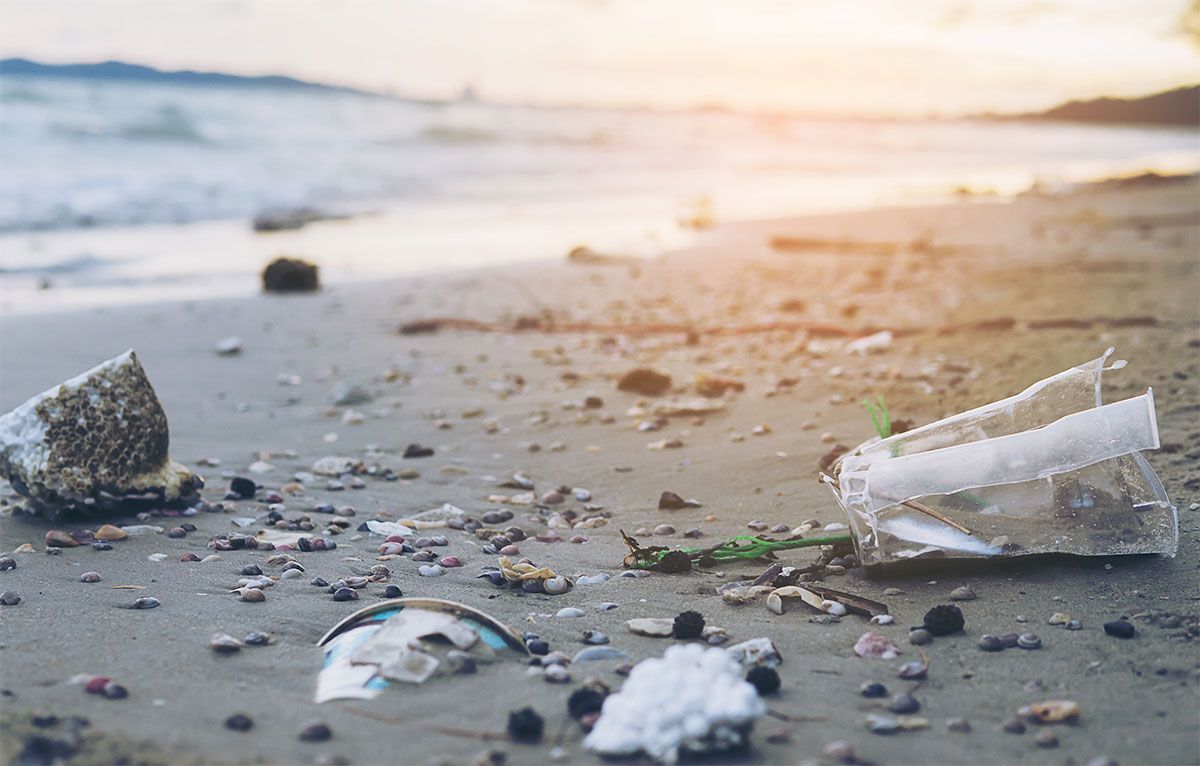 La batalla contra el plástico en la preservación del medio ambiente