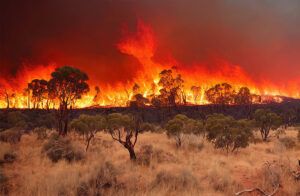 fuego por el cambio climático