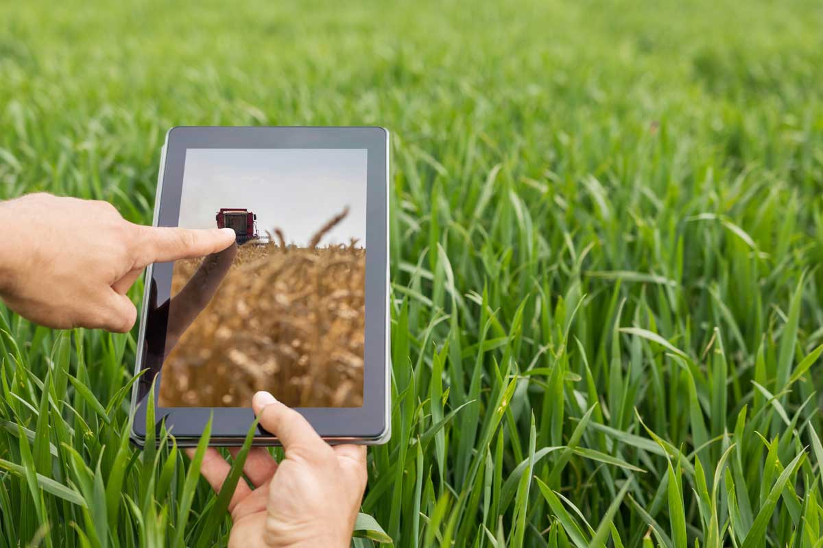 tecnología-en-el-sector-agroalimentario
