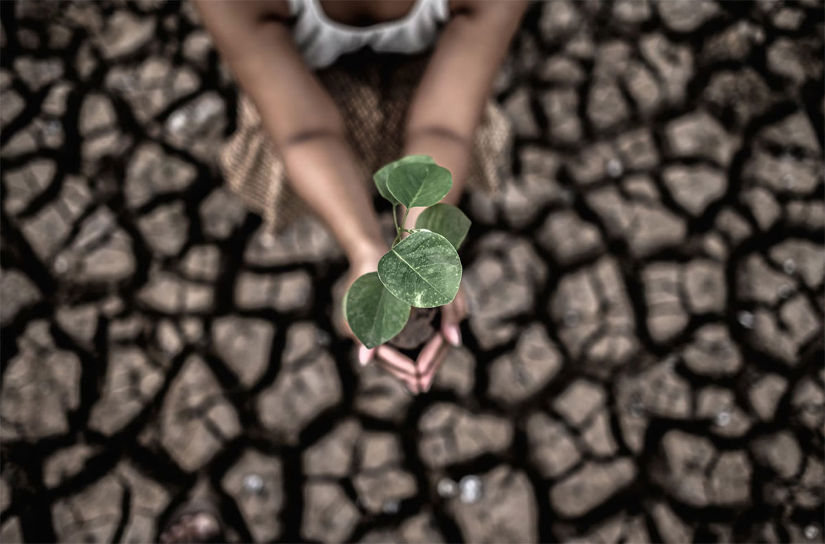 emergencia climática