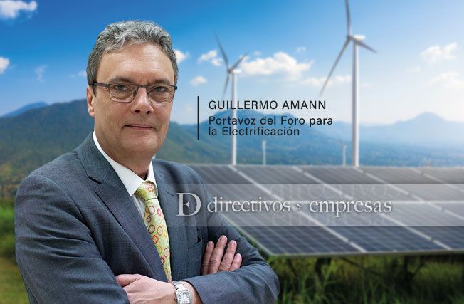 Guillermo Amann, portavoz del Foro para la Electrificación