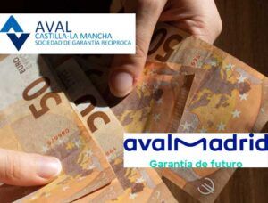 Avalmarid-y-Ava-Castilla-La-Mancha-crean-un-coaval