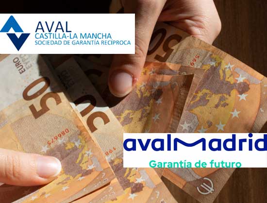 Avalmarid-y-Ava-Castilla-La-Mancha-crean-un-coaval