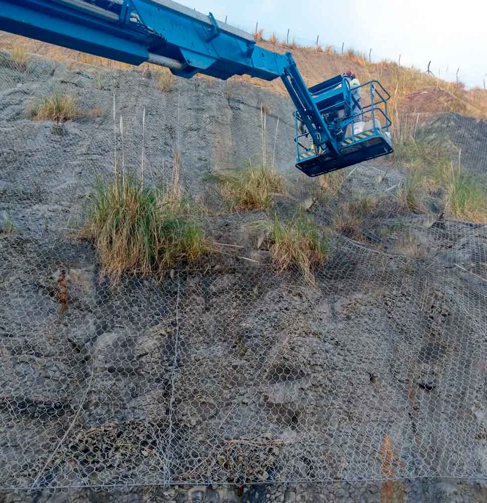 tratamientos-fitosanitarios-en-el-Puerto-de-Bilbao-para-proteger-la-biodiversidad