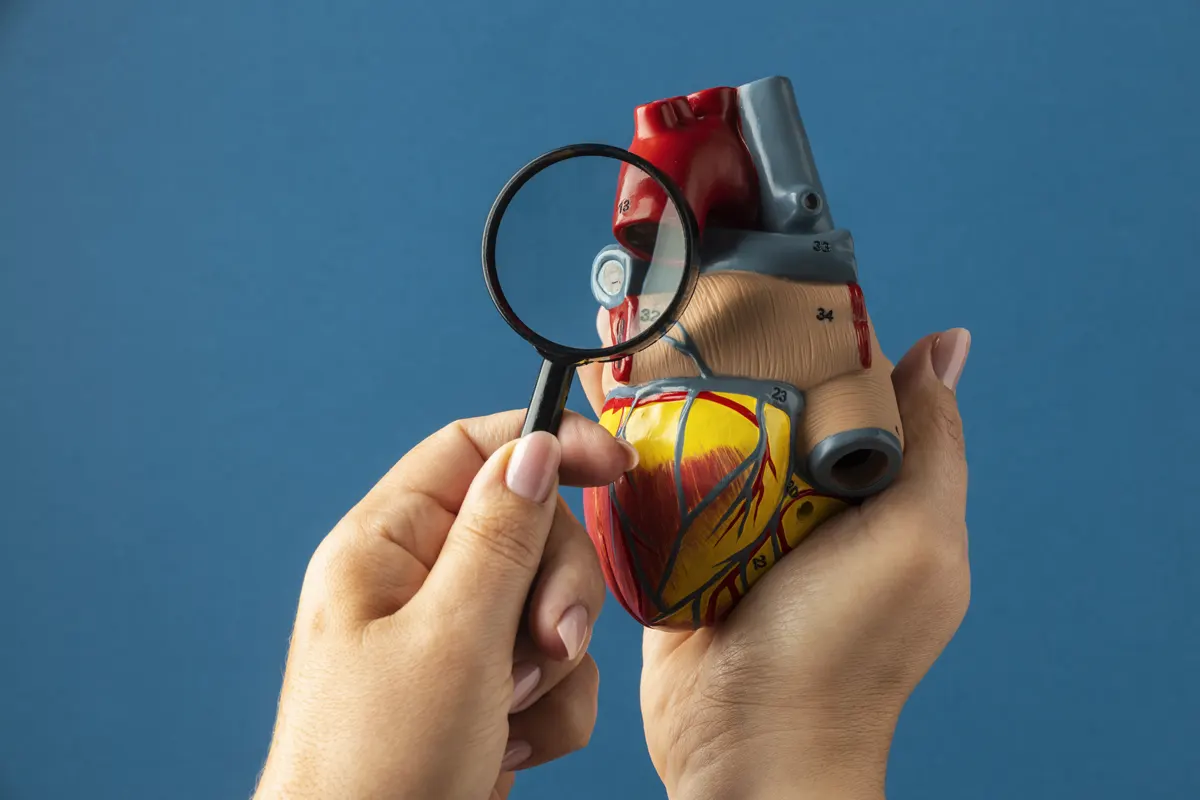 Nace la Cátedra UFV-UICAR Quirónsalud en Innovación Cardiovascular: una formación clave sobre la principal causa de muerte en España