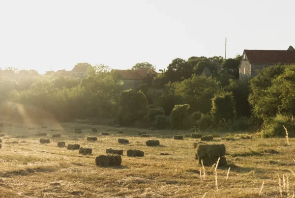 medio rural