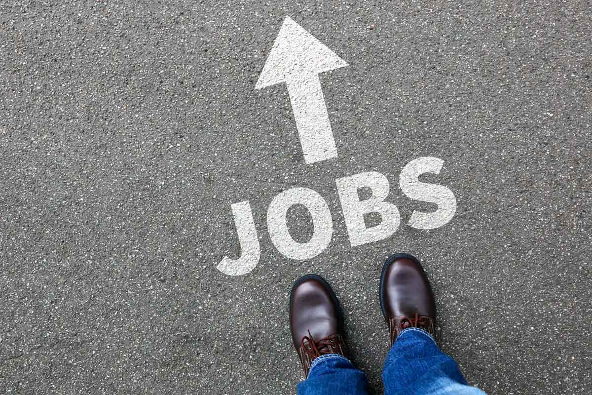 sectores-con-mayores-oportunidades-de-empleo