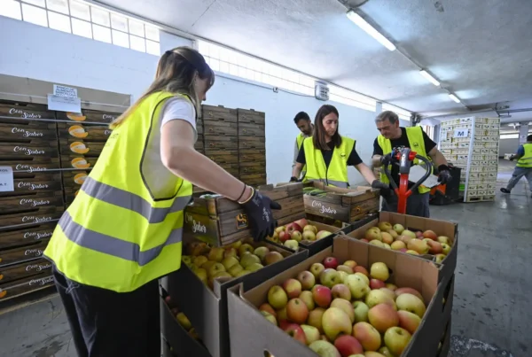 sexta-campana-ningun-hogar-sin-alimentos
