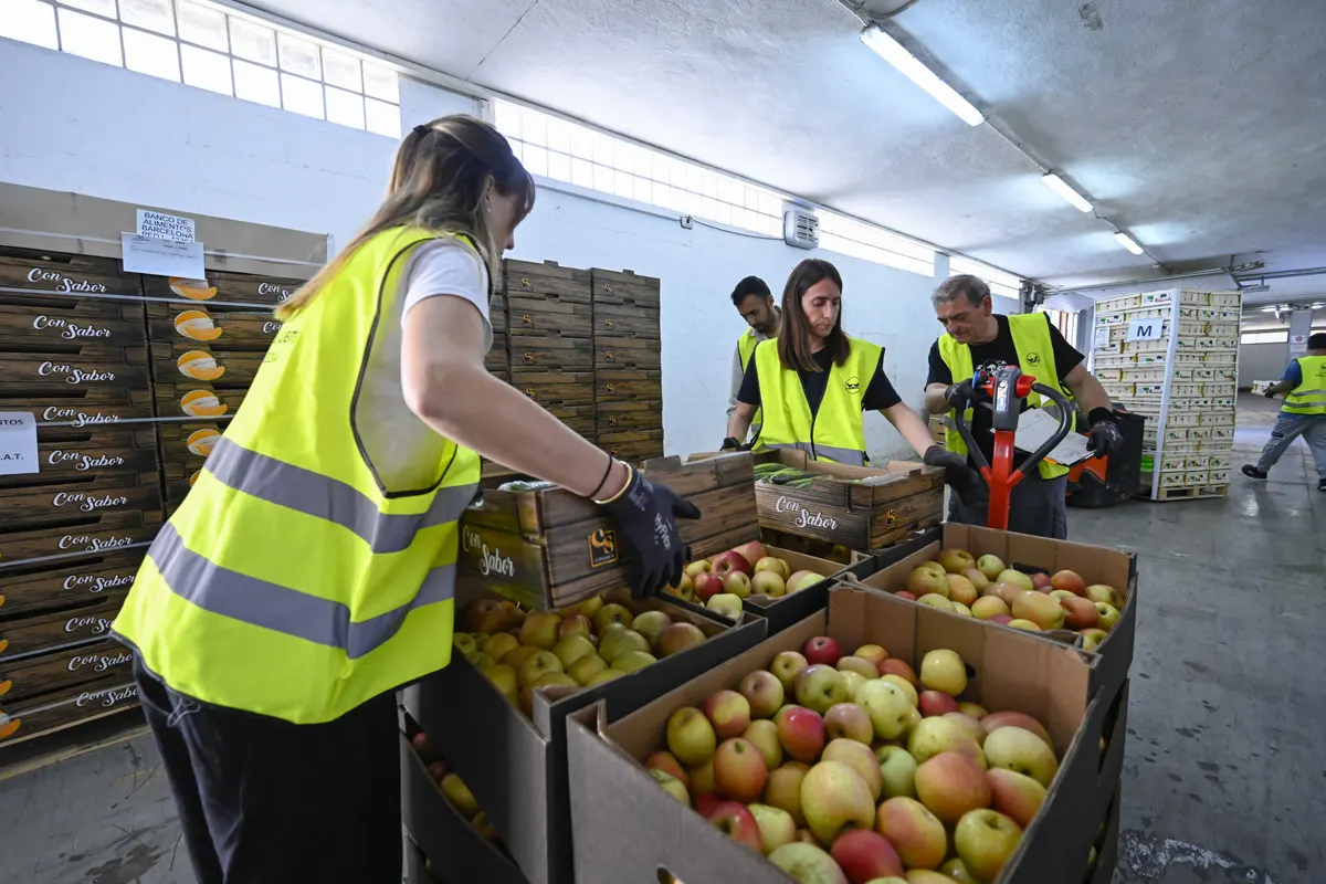 FESBAL, Fundación “la Caixa” y CaixaBank ya se preparan para la campaña ‘Ningún hogar sin alimentos’: hay preocupación por la precariedad alimentaria
