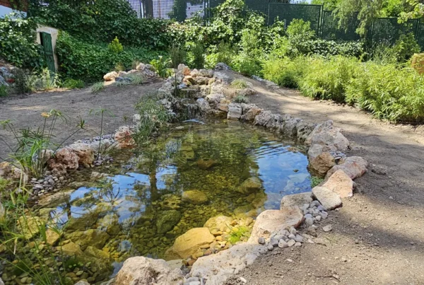 Jardin Terapeutico Querer
