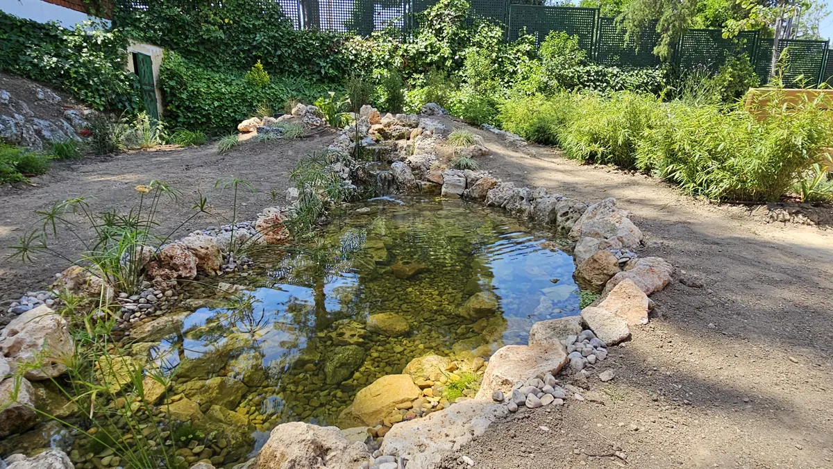 El Jardín Terapéutico Querer, el nuevo espacio para el bienestar emocional de personas con necesidades especiales