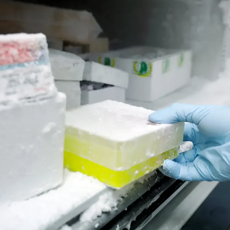 caixaimpulse-trabajo-cientifico-en-el-laboratorio