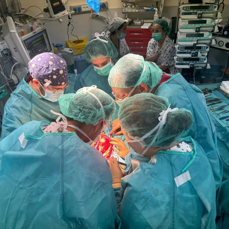 cirugía reemplazo húmero hospital la paz