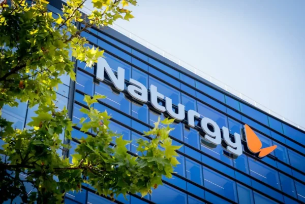 Naturgy free float mercados