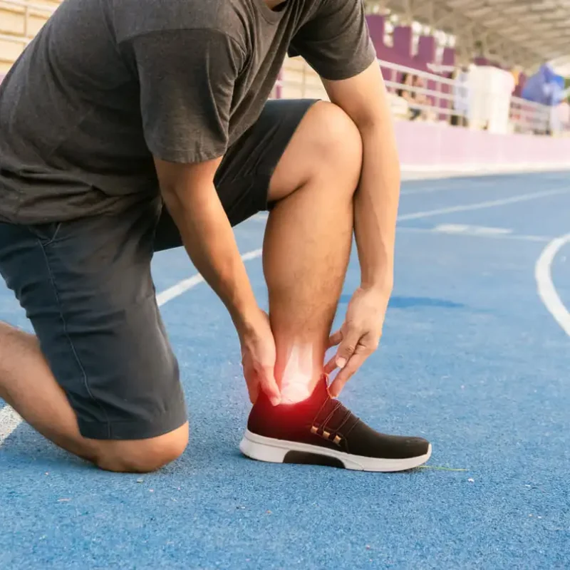 degeneración articular cartílago y tendones