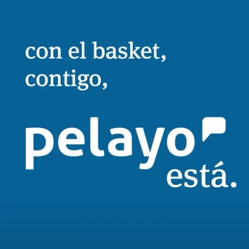 campaña pelayo está baloncesto ACB