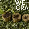 WeGrant financiación climática