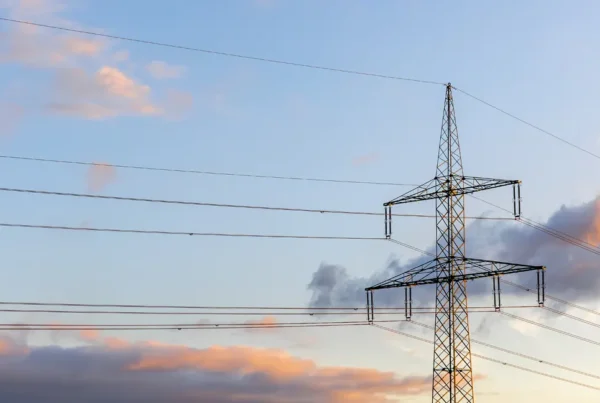 precio de la luz 12 noviembre de 2025